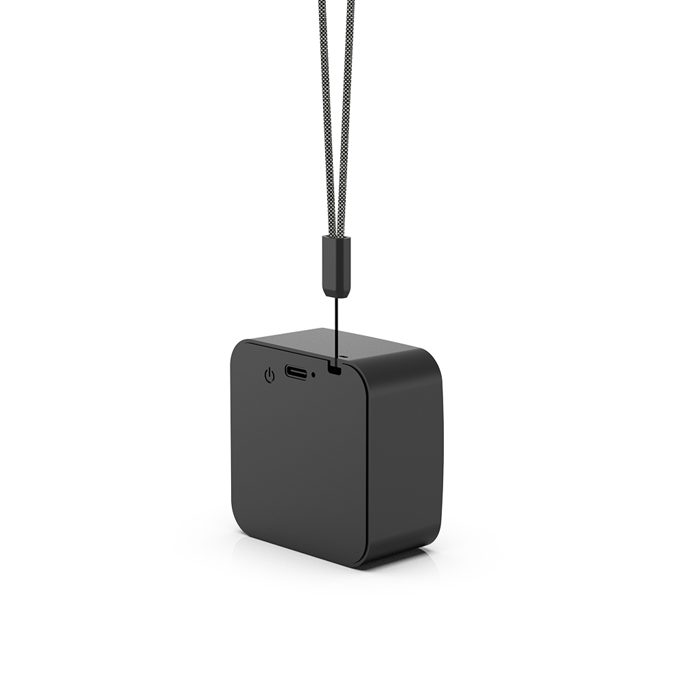 Portable Audio System